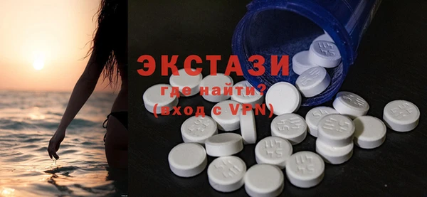 ECSTASY Богданович